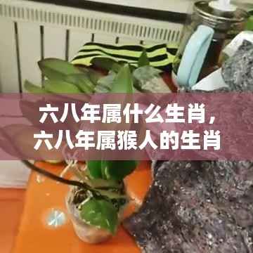 鸟覆危巢 第5页