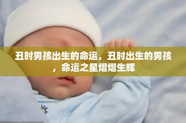 丑时出生的男孩命运之星熠熠生辉,解读命运之路的奥秘