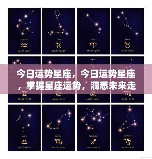今日星座运势详解,掌握运势,洞悉未来走向