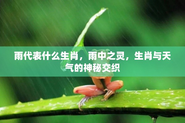 雨中之灵,生肖与天气的神秘联系