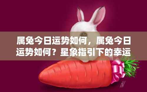属兔今日运势详解,星象指引的幸运之旅