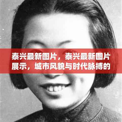 泰兴城市风貌,时代脉搏交汇的最新图片展示