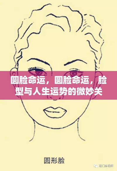 脸型与命运,圆脸背后的微妙人生运势关联