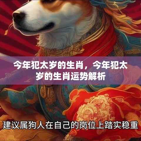 物以希为贵 第6页