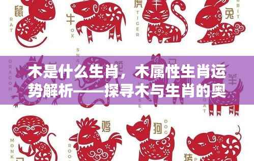 木属性生肖运势解析,探寻木与生肖的奥秘关联