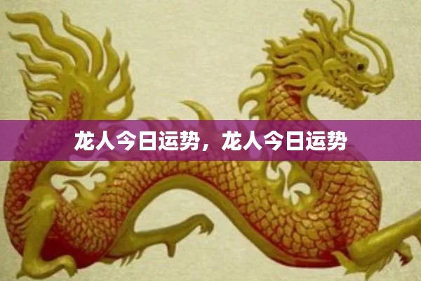 龙人今日运势详解