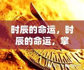 掌握时辰命运,洞悉每日最佳时机,揭秘未来走向的奥秘