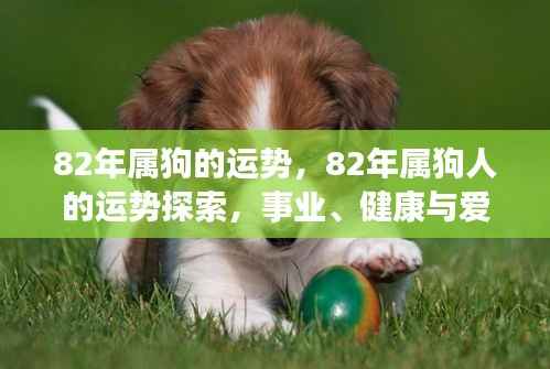 揭秘82年属狗人的事业、健康与爱情运势,星光指引下的全面探索