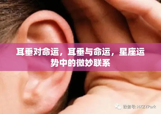 耳垂与命运,星座运势中的微妙联系探究