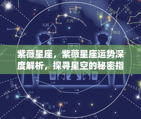 紫薇星座深度解析,探寻星空指引,掌握运势秘密