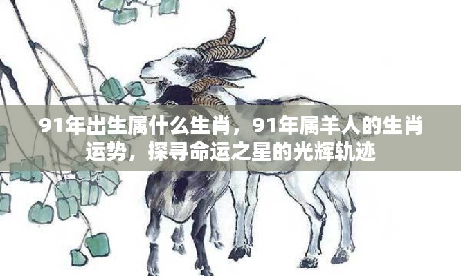 91年出生属什么生肖,91年属羊人的生肖运势,探寻命运之星的光辉轨迹