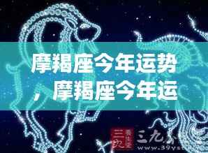 摩羯座今年运势展望,稳健前行,收获与成长并存