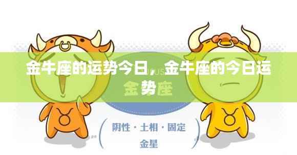 金牛座的今日运势概览