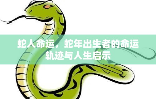蛇年出生者的命运轨迹与人生启示,蛇人的命运探索