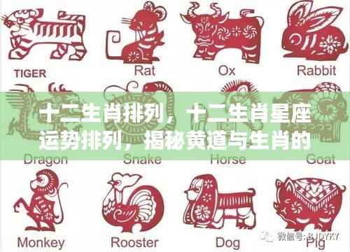 揭秘黄道生肖奥秘,十二生肖排列与星座运势解析