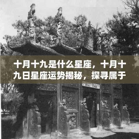 十月十九日星座运势揭秘,探寻属于你的星辰轨迹,星座运势大解密