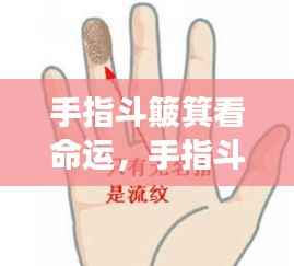 揭秘手指斗簸箕与手相中的命运密码，命运解读新视角
