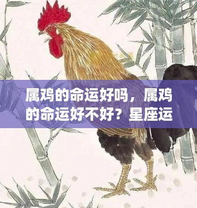 属鸡人的命运详解,星座运势与性格特质深度解析