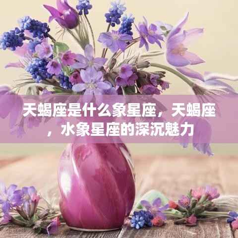 揭秘天蝎座,水象星座的深沉魅力探索