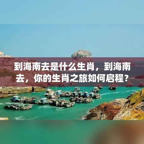 启程生肖之旅,海南之行与生肖探秘