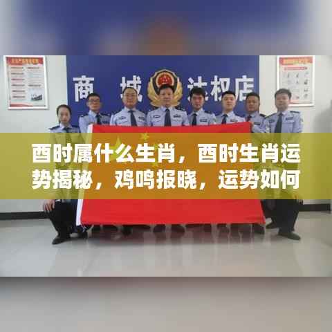 酉时生肖运势揭秘,鸡鸣报晓,运势波动解析