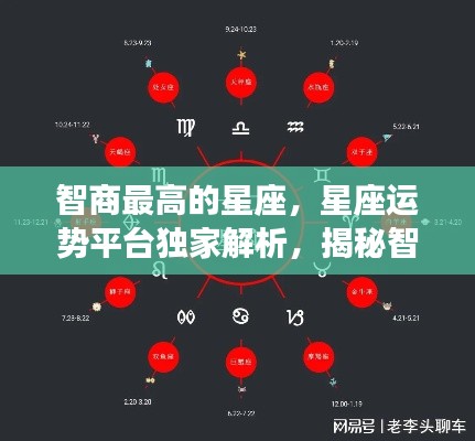 独家揭秘,智商最高的星座运势与风采解析