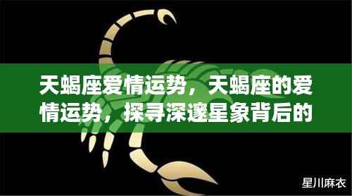 天蝎座爱情运势揭秘,探寻星象背后的情感奥秘