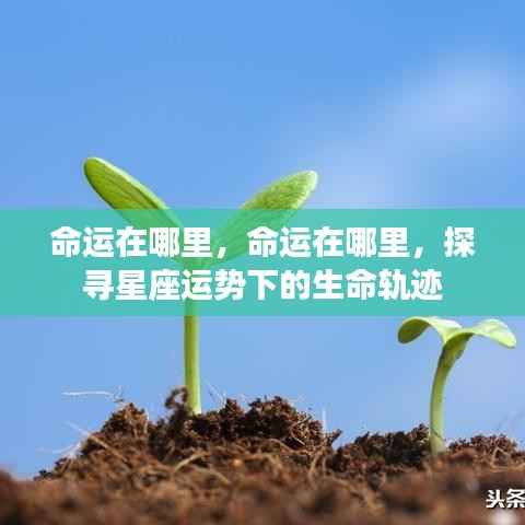 探寻星座运势下的生命轨迹,命运的轨迹在哪里?