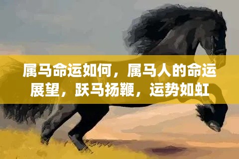 属马人的命运展望,运势如虹,跃马扬鞭的辉煌之旅