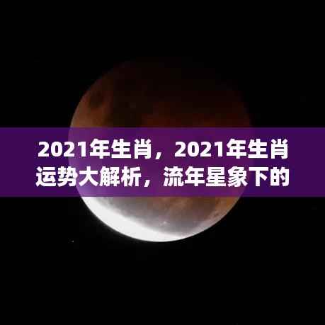 流年星象下的机遇与挑战,2021年生肖运势大解析