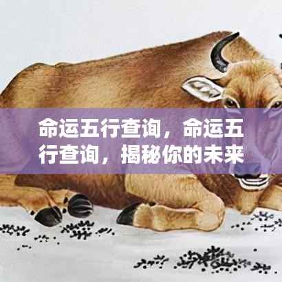命运五行查询,揭秘未来走向,掌握命运之舵!