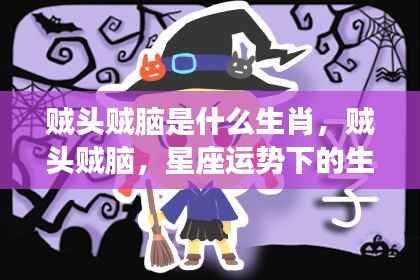 星座运势下的生肖解析,贼头贼脑的生肖揭秘