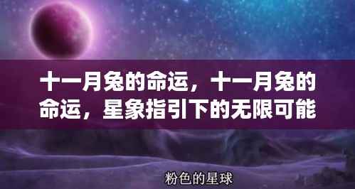 十一月兔星象指引,命运无限可能