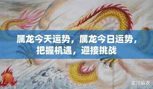 属龙今天运势,属龙今日运势,把握机遇,迎接挑战