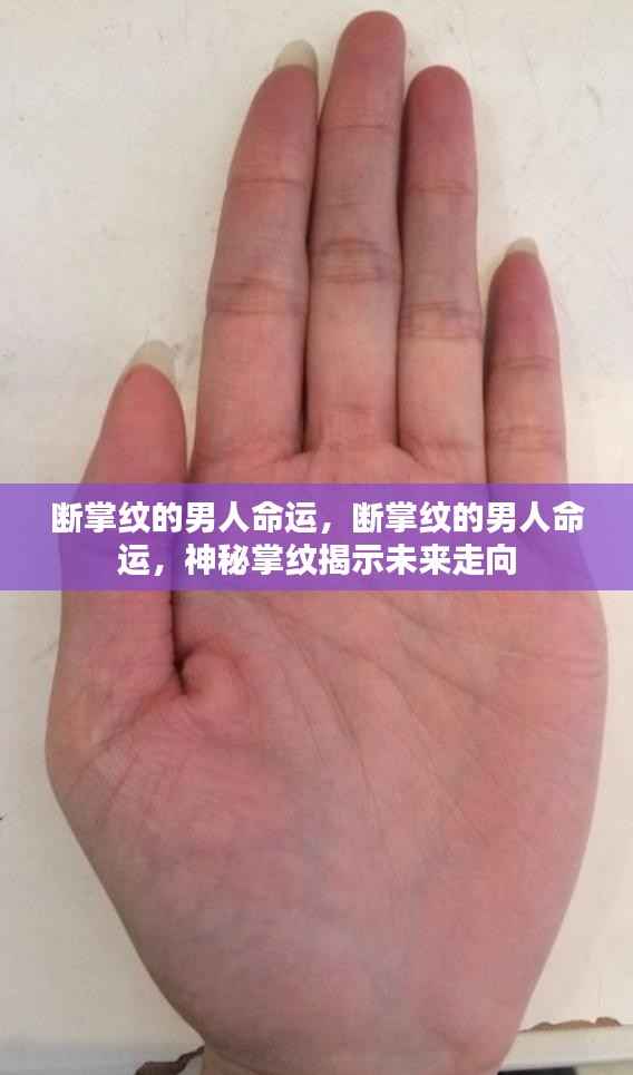 断掌纹男人的命运揭秘,神秘掌纹预示未来走向