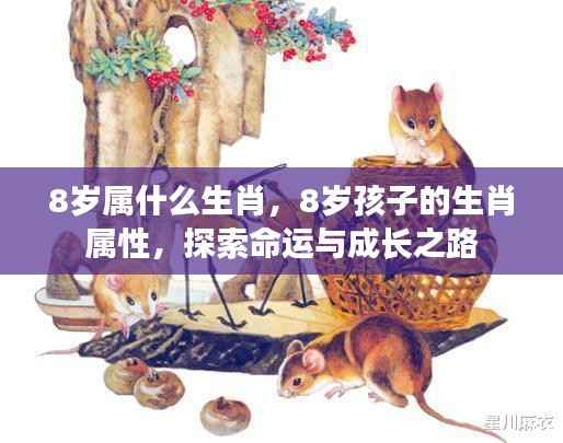 揭秘8岁生肖属性,探索命运与成长之路的奥秘