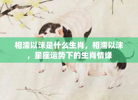 相濡以沫与星座运势下的生肖情缘探索