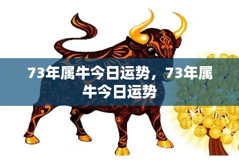 73年属牛今日运势,73年属牛今日运势