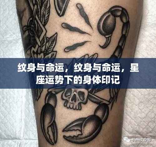 纹身与命运,星座运势下的身体印记探究