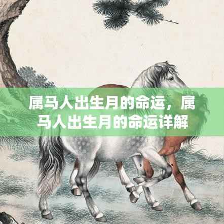 属马人出生月份的命运详解,揭示性格与未来走向