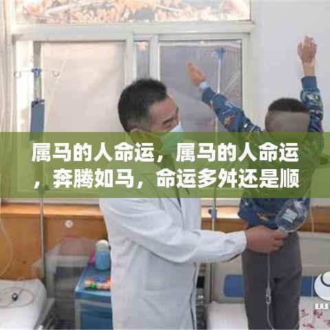 属马人的命运,奔腾之路,多舛还是顺风?