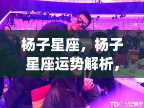 杨子星座运势解析,探寻属于你的独特星空轨迹