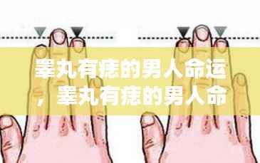 睾丸痣相与男性命运,痣相与人生轨迹的微妙联系揭秘