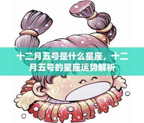 十二月五号星座运势解析,探寻星座运势,洞悉未来走向