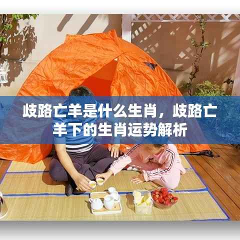 歧路亡羊生肖运势解析及对应生肖揭晓。