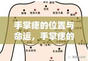 手掌痣的位置与命运,揭示人生潜在线索