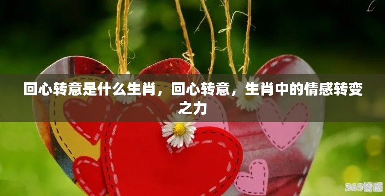 生肖情感转变之力,回心转意的奥秘