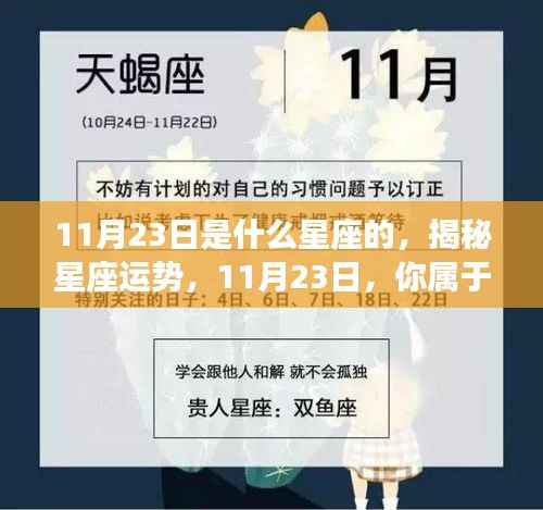 揭秘11月23日的星座运势与特征,你的星座属性是什么?