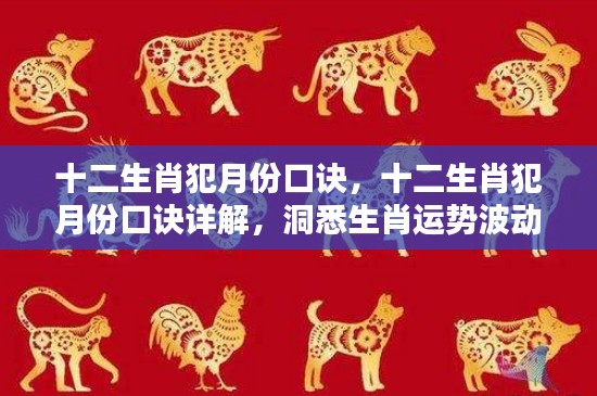 十二生肖犯月份口诀详解,揭秘生肖运势波动背后的秘密