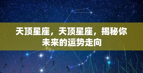 揭秘天顶星座运势走向,未来运势预测与解析